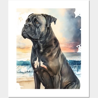 Watercolor Cane Corso Dog on the Beach Posters and Art